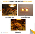 Seentech 250 Watt R40 Clear Heat Lamp Bulb – Infrared Flood Reflector Light, Incandescent Spotlight for Food Warmer, Bro
