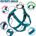 2 Hounds Design Freedom No Pull Dog Harness, Adjustable Harness and Leash Set, Easy Walking & Comfortable Control, Fits Small, Medium & Large Dogs, Solid Colors, Made in USA, 1" LG, Teal