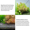 LINLAN 15.7 inch Aquarium Root Fertilizer Injector Kit, Planted Tanks