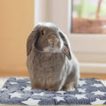 3PCS Rabbit Bed, Soft Bunny Bedding, Fleece Guinea Pig Blanket