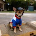 Extra Small Dog Helmet with Ear Holes - Adjustable, Lightweight, Hard Black Puppy Helmet for Outdoor Activities/Motorcyc