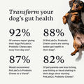 PetLab Co. Probiotics for Dogs, Support Gut Health, Occasional Diarrhea, Digestive Health & Seasonal Allergies - Pork Flavor - 30 Soft Chews - Packaging May Vary (Value 3-Pack)