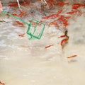 3PCS Aquarium Fish Net Fine Mesh Net Quick Catch Nets Nylon Fishing Nets with Long Plastic Handle for Fish Tank, Green, 