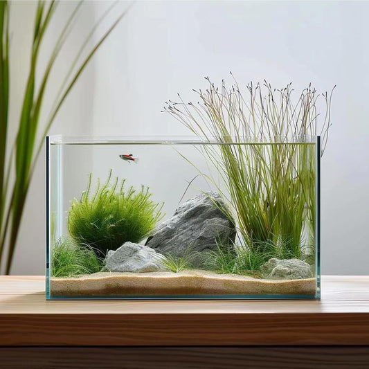 Vimvins 3 Gallon Glass Fish Tank, Easy to Maintain Small Aquarium for Betta/Goldfish/Snails/Shrimp and Aquatic Planting.