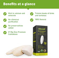 Sepia King - Extra Large - 100% Natural Calcium Supplement - Premium Cuttlebone Perfect for Birds, Tortoises, Snails, Re