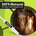 SynChill Horse Calming Supplement Gel, 3 Pack | Composure & Focus