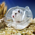 lazYYzal Hamster Bathtub,Hamster Bathroom,Small Animal Habitat Décor,Sand Bath Container Transparent Beds,Hamster Bed,Ic