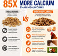 MEILLEURE 5lbs Dried Black Soldier Fly Larvae for Chickens - 100% Natural BSF Larvae More Calcium Than Dried Mealworms - High Protein BSFL Chicken Treats for Laying Hens Ducks Birds
