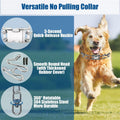 No Pull Dog Training Collar with Quick-Release Buckle for Dog,14-18" Neck-S