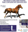 Hyalogic Hyaluronic Acid for Horses 90 Day Supply Easy Oral Tip Dispenser - Liquid HA Supplement for Equine Joints and C