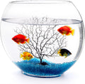 Okllen Mini Glass Fish Bowl, Oblate Small Fish Tank with Blue Aquarium Decor Sands and Plastic Coral Branch Tree Ornamen