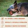 Hank & Roy All-Natural Pig Ears for Dogs + Dog Bully Sticks Bundle, 6 Pig Ears and 6 Bully Sticks, Long Lasting, Antibio