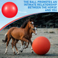 2 Set/4 Pcs Giant 40 Inch Herding Balls with Ball Cover, Horse Toy
