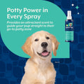 NaturVet Potty Here Training Aid Spray for Puppies and Dogs - 8 oz