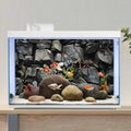 48x24 in Stone Aquarium Backdrop Grey Rock Fish Tank Background