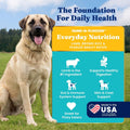 Solid Gold Lamb Dry Dog Food for Adult & Senior Dogs, Probiotics, 24LB