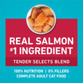 Purina ONE Natural Dry Cat Food, Tender Selects Blend With Real Salmon - 7 lb. Bag