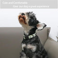 ARING PET Dinosaur Dog Collar-Cute Dog Collar for Small Dogs, Adjustable Comfortable Cotton Boy Dog Collars for Small Me