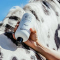 EQUIDERMA (2 Pack) Horse Skin Lotion with 10‑Count Pet Faves Pet Wipes – Gentle Soothing Relief for Cannon Bone, Mane & 