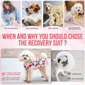 Nasjac Dog Surgery Recovery Suit - Zipper on Recovery Onesie for Female Dog