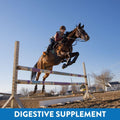 Gastric Support Supplement for Horses | Relieves Ulcers, Calming Supplement, Magnesium & Other Vital Minerals | Powder, 