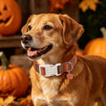 DOGWONG Vintage Fall Tartan Dog Collar, Adjustable Halloween Orange Plaid Cotton Pet Collar, Autumn Dog Collars for Smal
