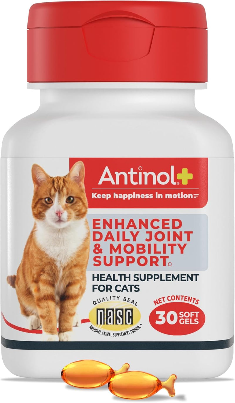Antinol Plus, Mobility, Hip, and Joint Supplement for Cats, Green-Lipped Mussels and Krill Oil - Cat Joint Supplement, 30 Soft Gels