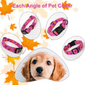 Halloween Dog Collar, Purple Pumpkin Bat Print Puppy Collar