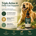 Pawsy Parasite Cleanse Drops, Probiotic Botanical Formula with Herbal Blend – Gut Health, Promotes Healthy Gut, Applicab