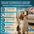 Yeast Infection Treatment for Dogs, Dog Yeast Chews Itch Relief 200 Chews