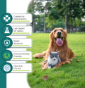 Natural Flea and Tick Collar for Puppies - 12-Month Protection, Safe Pest Control - Waterproof, Strong - Free Flea Comb 