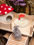 Niteangel Hamster Snack Treat Toy: Freeze-Dried Pumpkin & No Additive