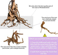 Vmiapxo 8-Pack Natural Driftwood, Sinkable Spider Wood (4''-6'')