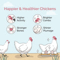 Mile Four Organic Chicken Feed – Starter Chick Mash, Non-GMO, USA Grown, 21% Protein, Corn-Free, Soy-Free, Non-Medicated Chick Feed, 2 lb Sample