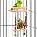 CZWESTC Natural Wood Bird Perch Swing - Cage Platform for Budgies, Cockatiels, Parakeets & Small Birds - Adjustable Play Rest Gym