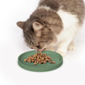 Arespark Pet Silicone Food Mat, 6in x 6in Set of 2 Nonslip Waterproof Feeding Bowl Mat with Raised Edges for Food and Wa