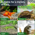 HANABASS Portable Fish Tank Handheld Aquarium with Handle Transparent Plastic Mini Fish Box for Turtle Hamster Pet Breed