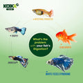 KOIKA BAC+ Aquarium Probiotics for Fish & Shrimp – High-Density Beneficial Bacteria, Pleasant Smell, Supports Disease Re