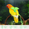 Bird Harness Leash for Pet Parrots