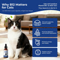 Appetite Stimulant for Cats – Liquid Vitamin B12 Drops, Methylcobalamin(Methyl B12) Cat Supplement, Boosts Appetite, Energy, Mood, Recovery - 2 fl oz (60ml)