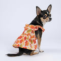 Fitwarm Maple Dog Dress, Ruffled Doggy Thanksgiving Dress, Fall Dog Clothes for Small Dogs Girl, Pet Outfit, Red, Orange