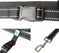 Caldwell's Pet Supply Co. Hands-Free Dog Leash, Adjustable Waist Leash for Dog Walking, Non-Bungee, Hands Free Harness, 