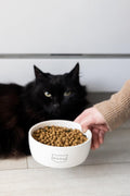 Pearhead Ceramic Meow Cat Bowl, Holds 12 oz, Modern Speckled White