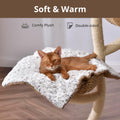 Self Warming Cat Bed, 24" x 18" Self Heating Pet Pad, Double Sided Heated Dog Mat Thermal Blanket, Soft Thermal Pet Cushion for Large Kittens Small Puppy