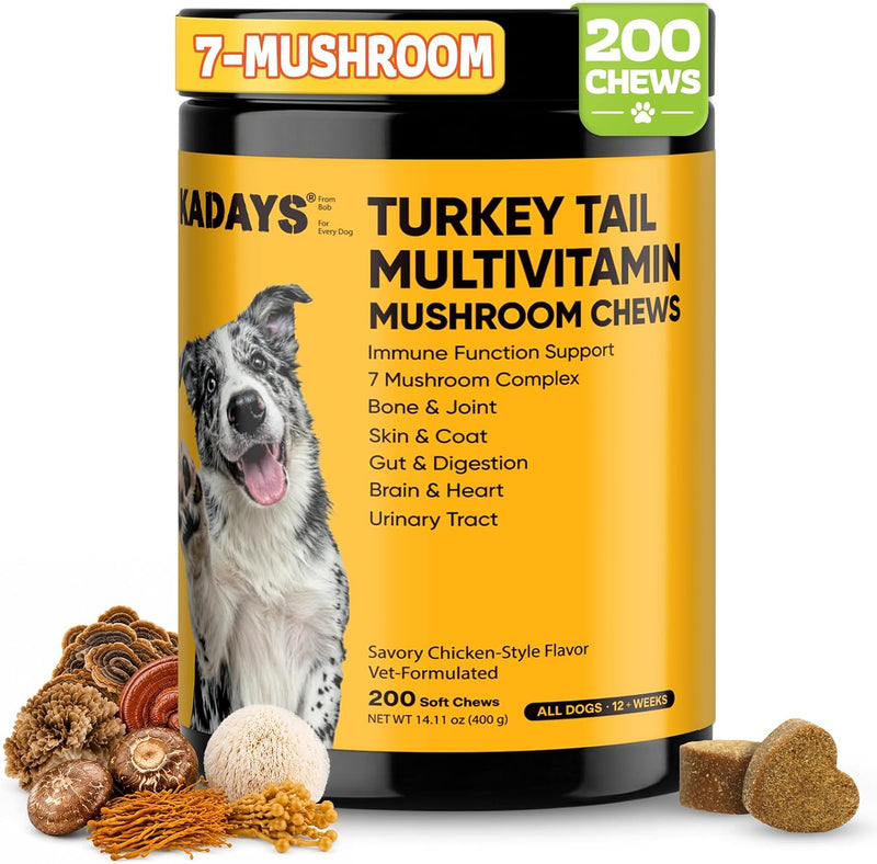 Turkey Tail Mushroom for Dogs 200 Count - Dog Multivitamin & Mushroom Chews