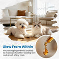 Premium Liquid Collagen & Probiotics for Dogs and Cats - Prebiotics, Biotin, MSM, Vitamin C & Hyaluronic Acid - Support 
