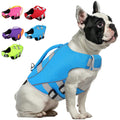 Queenmore Small Dog Life Jacket, Dog Life Vest for Swimming Boating, Puppy Life Jackets for Small Dogs, Ripstop Pet Life Vests with Rescue Handle Leash Hole, Safety Water Floating Vest, Hi-Vis Blue