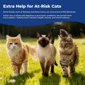 Appetite Stimulant for Cats, Liquid Vitamin B12 & Methylcobalamin Drops