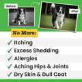 Omega 3 Fish Oil for Dogs - Made with Wild Alaskan Salmon Oil