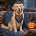Haakong Cowboy Costume Set for Small Dog Cat Pet Mini Cowboy Hat Sunglasses with Bandana for Halloween Holiday Party Cosplay